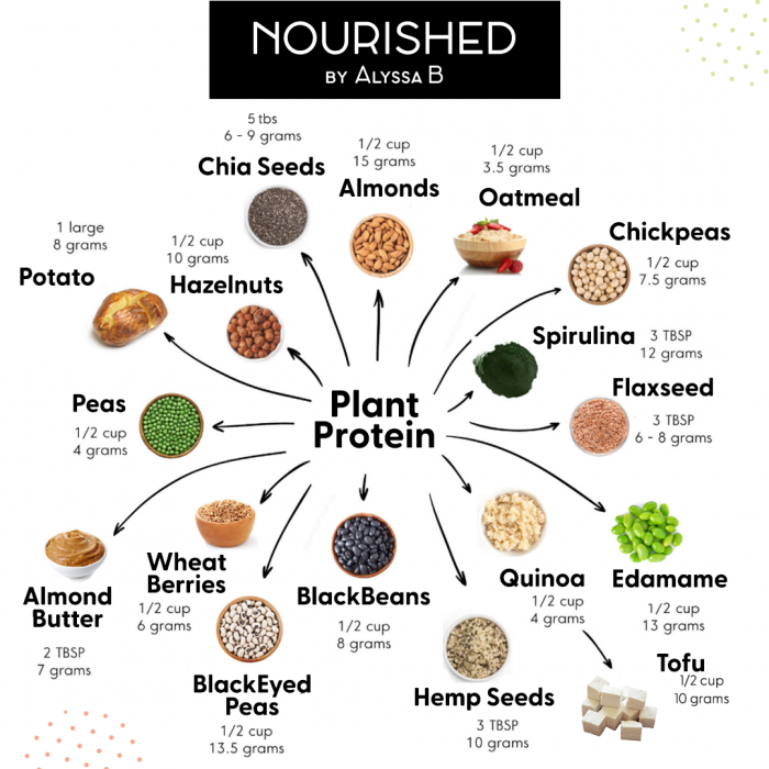 Power Up with More Plants | Nourished by Alyssa B